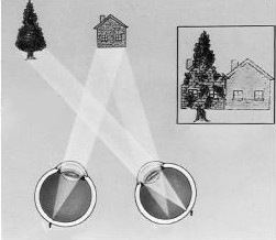 家長(zhǎng)們注意了？斜視對(duì)孩子的影響，比你想象的更嚴(yán)重！