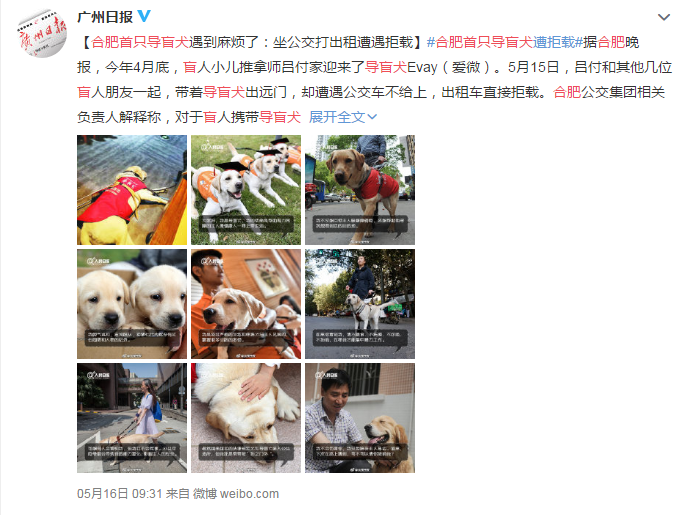 會,導致,嚴重,受損,的,三大,致盲,性,眼病, 會,導致,嚴重,受損,的,三大,致盲,性,眼病,