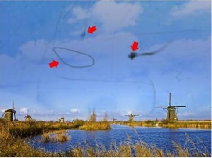 你知道什么是飛蚊癥嗎