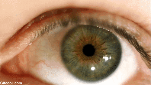 秋季如何應對過敏性結膜炎？這幾件事要做好