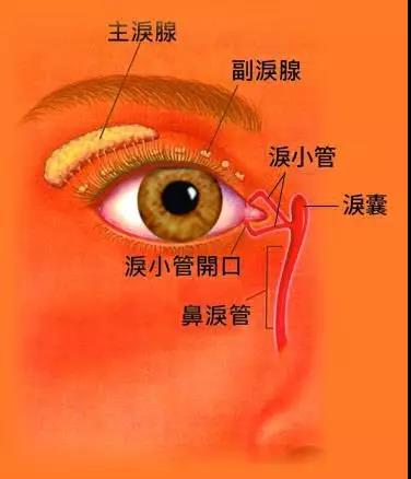 別讓冷空氣變成淚道病的“導(dǎo)火線”！