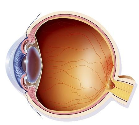開角型青光眼,閉角型青光眼,青光眼類型,青光眼 開角型青光眼,閉角型青光眼,青光眼類型,青光眼