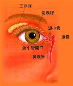 孩子流眼淚怎么辦,小兒淚道阻塞治療,先天性淚道 孩子流眼淚怎么辦,小兒淚道阻塞治療,先天性淚道