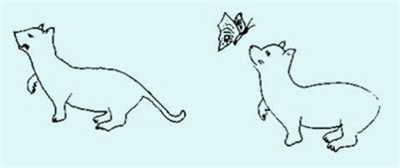 兒童斜視,小兒斜視,孩子斜視怎么辦,斜視治療 兒童斜視,小兒斜視,孩子斜視怎么辦,斜視治療