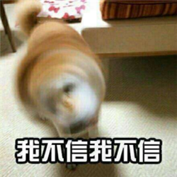 高度近視,視網膜裂孔,視網膜脫落怎么辦,視網膜 高度近視,視網膜裂孔,視網膜脫落怎么辦,視網膜