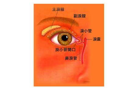 淚道疾病,淚道阻塞,眼屎多,淚道阻塞治療 淚道疾病,淚道阻塞,眼屎多,淚道阻塞治療