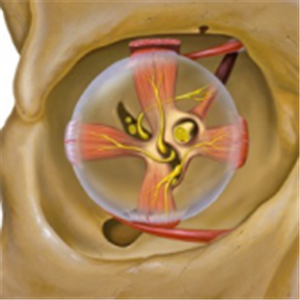 小兒復視,兒童復視,復視怎么辦,復視治療 小兒復視,兒童復視,復視怎么辦,復視治療