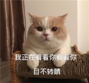 眼球震顫,兒童眼球震顫,先天性眼球震顫,眼球震 眼球震顫,兒童眼球震顫,先天性眼球震顫,眼球震