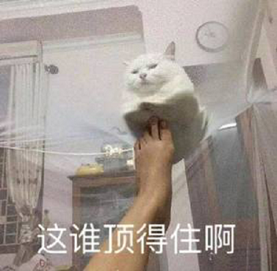 成也蕭何敗蕭何?|擁有主子的“人生贏家”卻輸在了眼睛上……