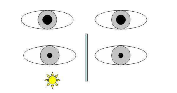 大太陽下看書追求格調?千萬不要，對眼睛傷害很大!
